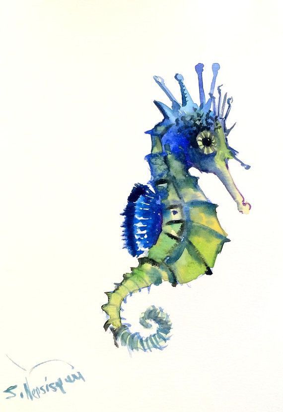 570x830 Pin By Sandra Lohr On Seahorses Seahorses
