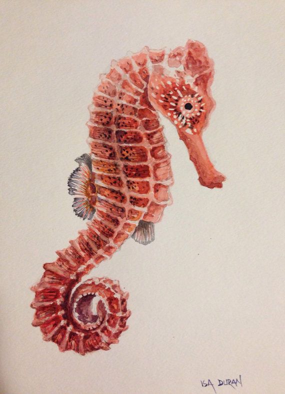 570x787 Seahorse, Seahorse Watercolor Painting, Seahorse Painting,9x12