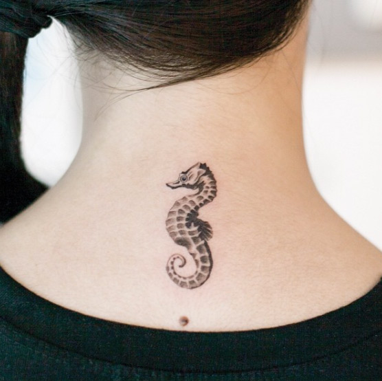 556x554 50 Adorably Cute Seahorse Tattoos