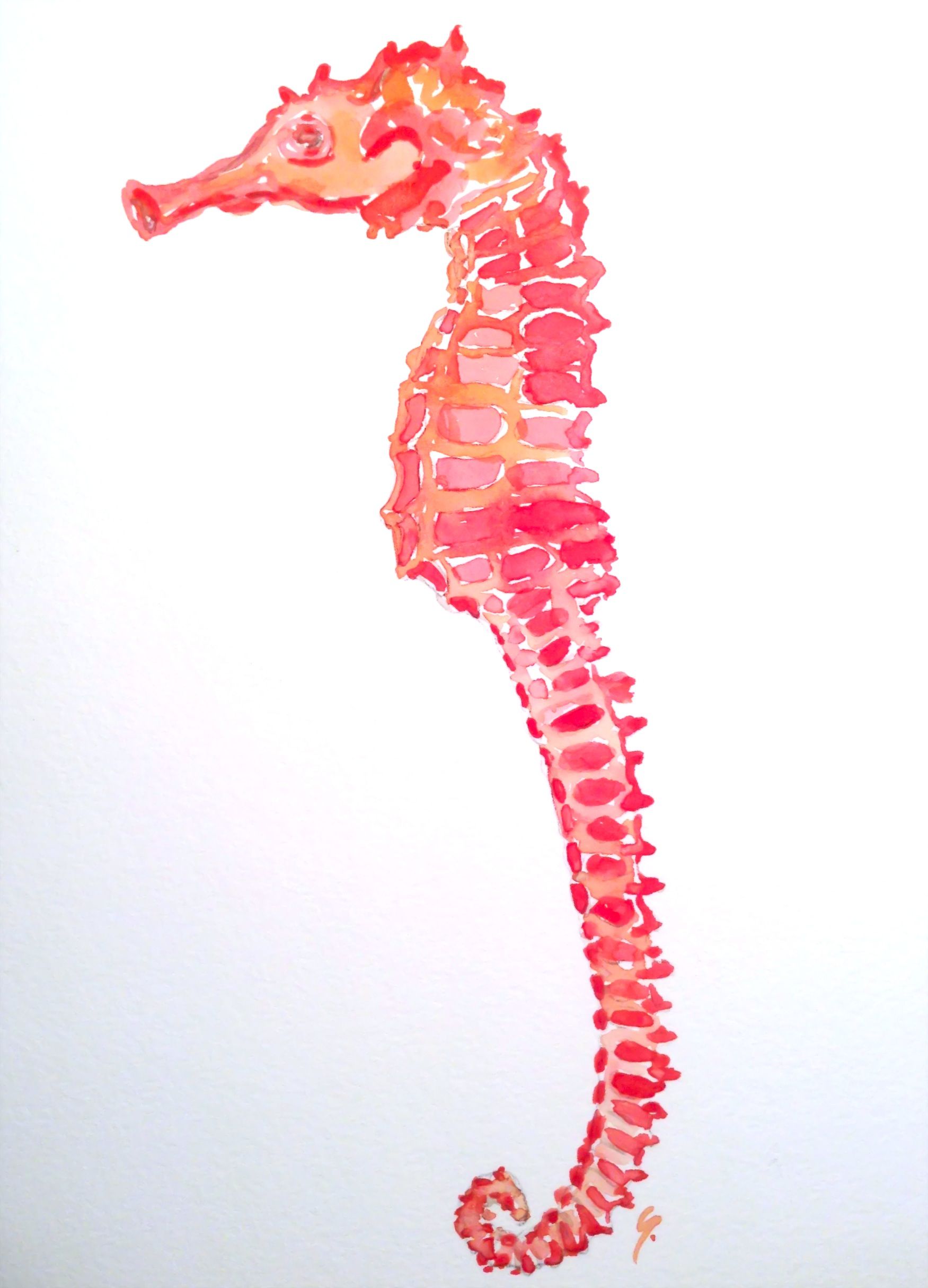 1751x2429 Coral Seahorse Watercolor 9x12 By Gina Feddersen Tattoos