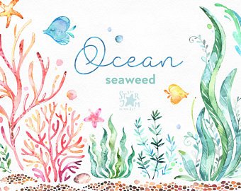 340x270 Seaweed Watercolor Etsy