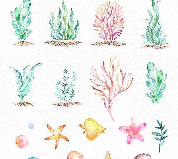 570x510 This Ocean Seaweed Watercolor Set Is Just What You Needed For The