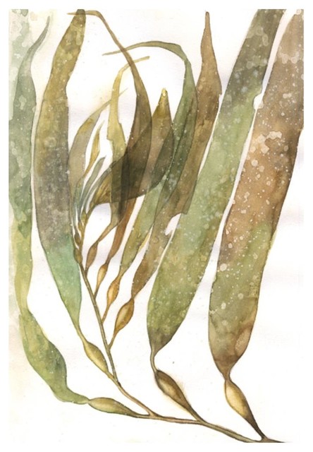 444x640 Watercolor Sea Kelp I Fine Art Piece