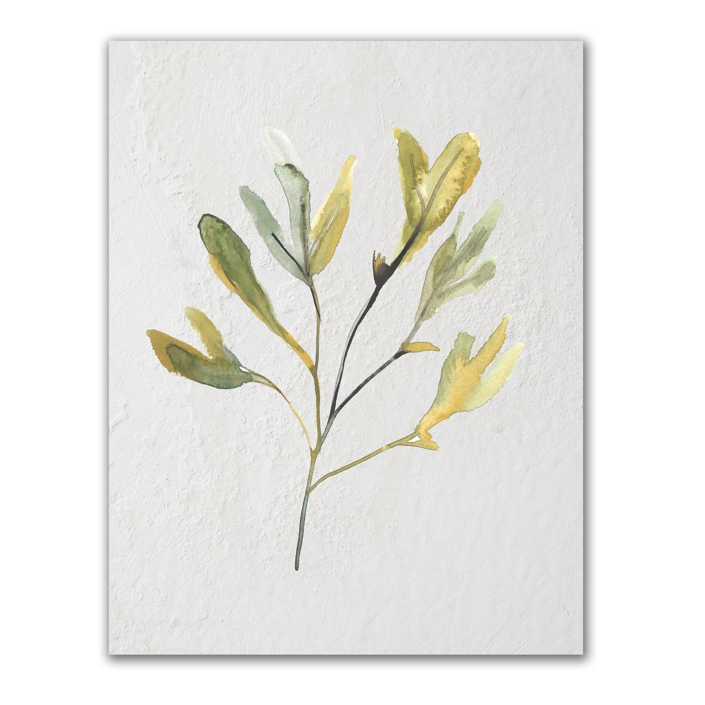 1024x1024 Watercolor Seaweed Art Print Jetty Home