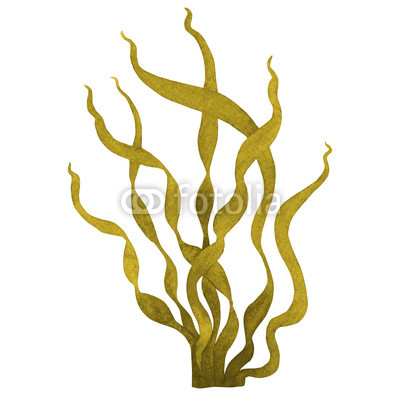 400x400 Brown Seaweed Or Kelp Watercolor Hand Painted Element Isolated On