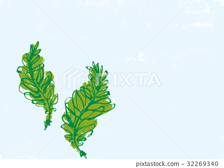 450x337 Water Color, Watercolor, Seaweed