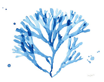 340x270 Coral Amp Seaweed Art Print. Watercolor Coral. Watercolor Sea