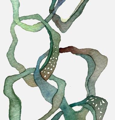384x400 Drawn Seaweed Watercolor 23