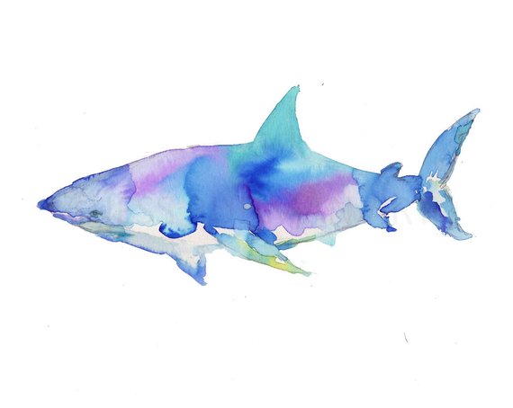 570x454 Great White Watercolor Print Shark Painting Shark Print Etsy