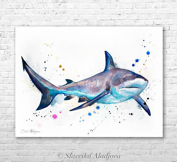 570x524 Grey Reef Shark Watercolor Painting Print By Slaveika