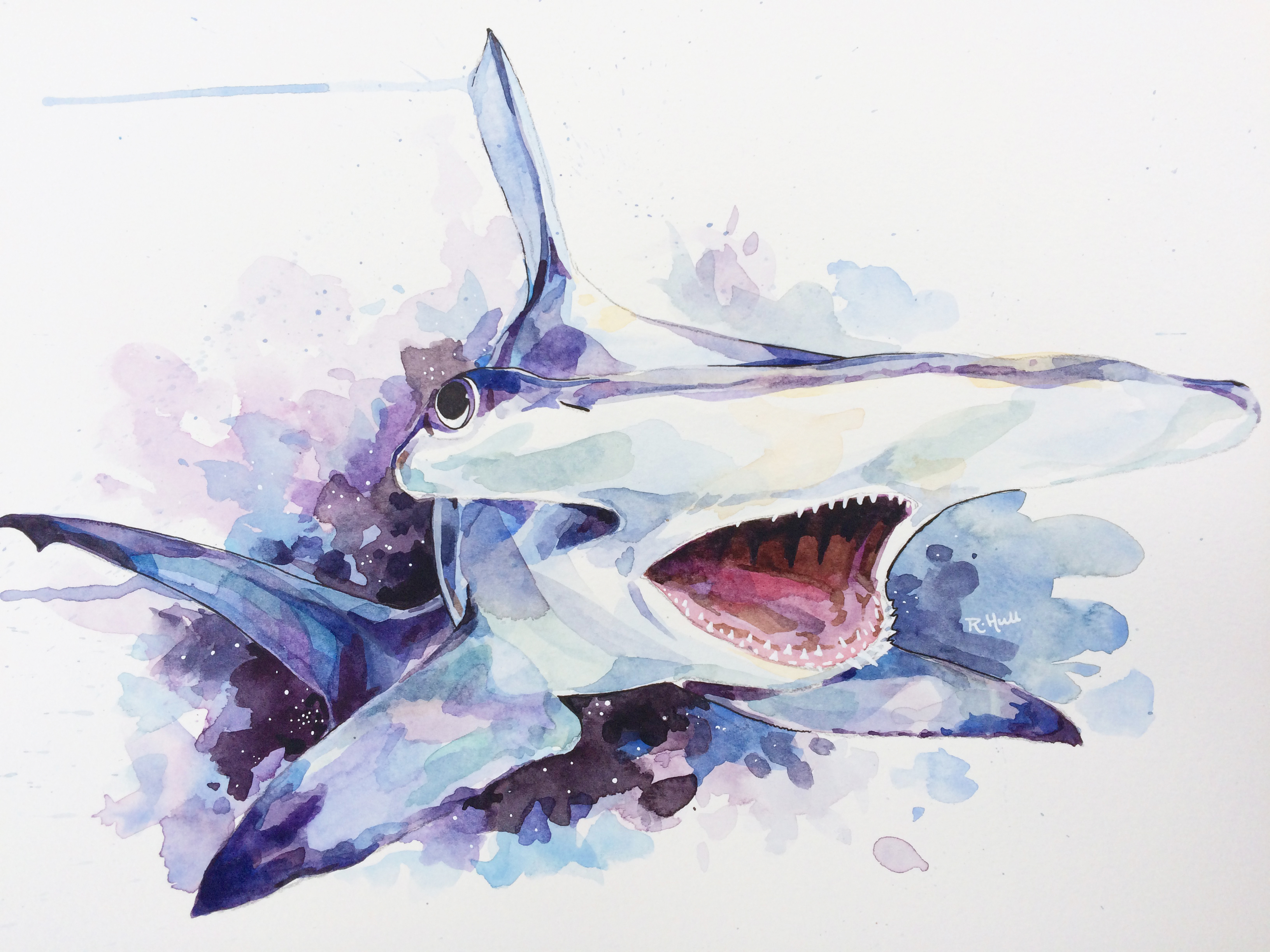 3264x2448 Hammerhead Shark In Space, Watercolour, 12 X 16in