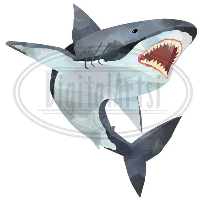 700x706 Watercolor Shark Clipart By Digitalartsi