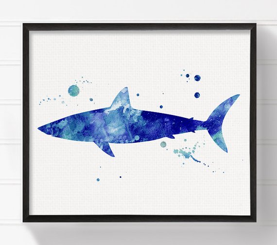 570x503 Watercolor Shark Shark Art Print Shark Painting Shark Etsy