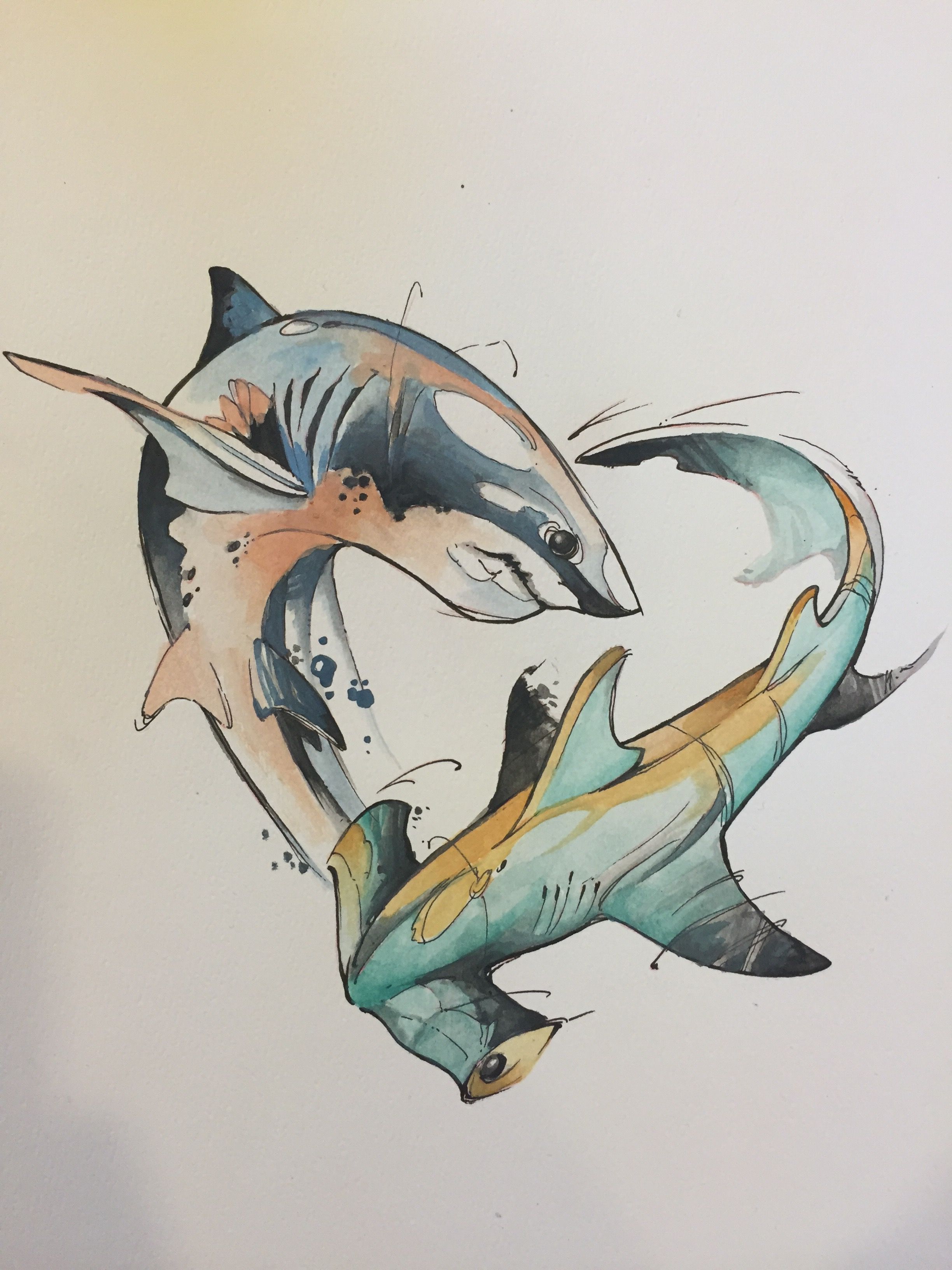 2448x3264 Watercolor Shark And Hammerhead Artwork Shark