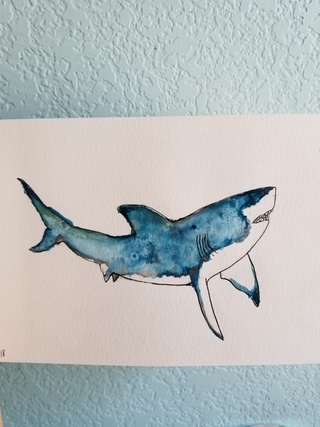 320x427 Watercolor Shark