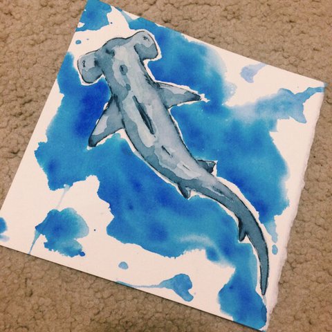 480x480 Watercolor Shark Painting Prints. This Piece Was Used For My