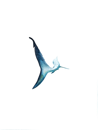 416x550 Dalton Portella Shark Boards Amp Whales Series @ Elizabeth Dow