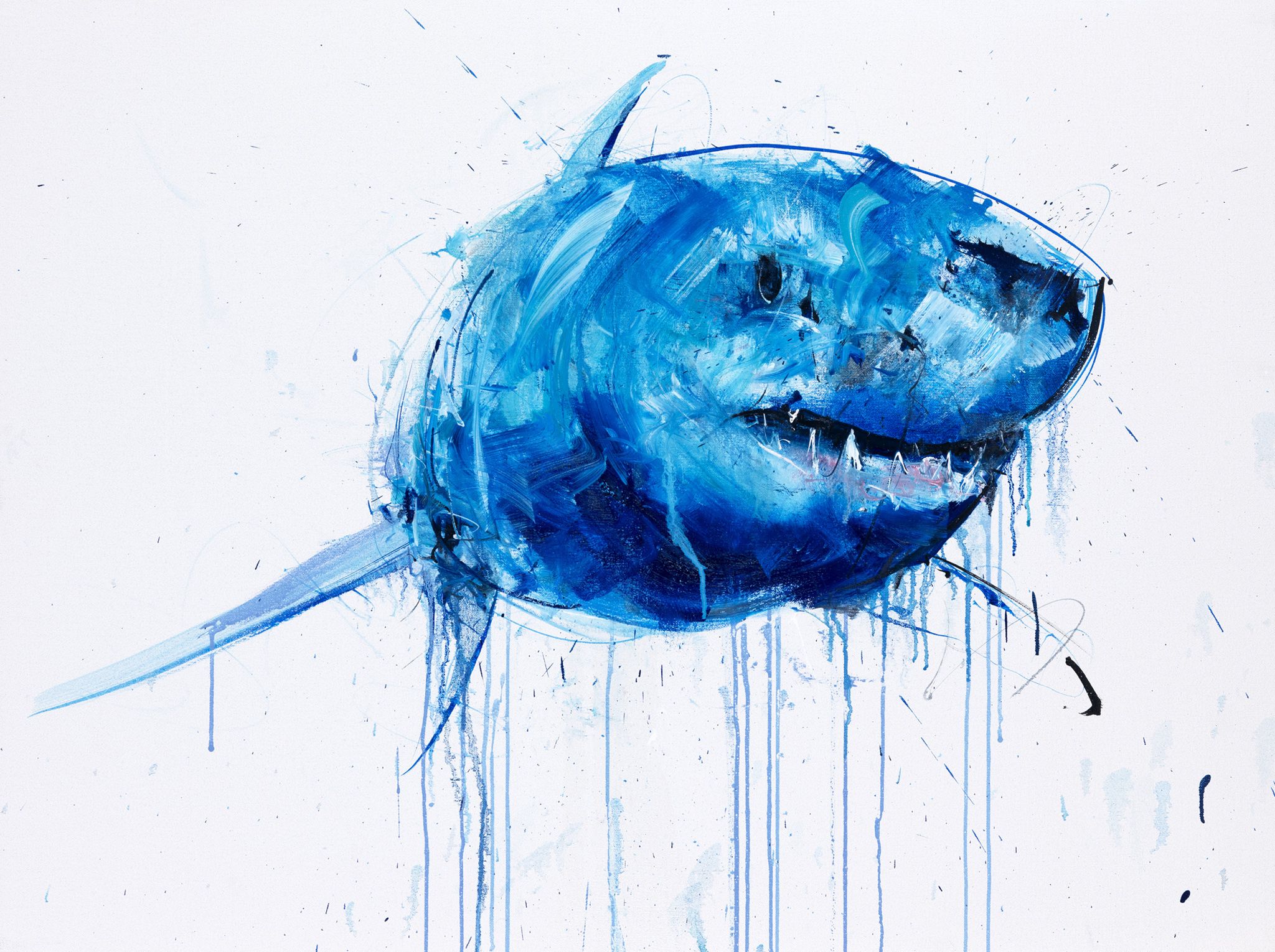 2048x1530 Pin By Alistair Wright On Prints Shark Painting