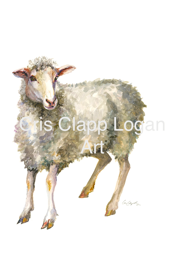 640x864 Original Sheep Watercolor Painting