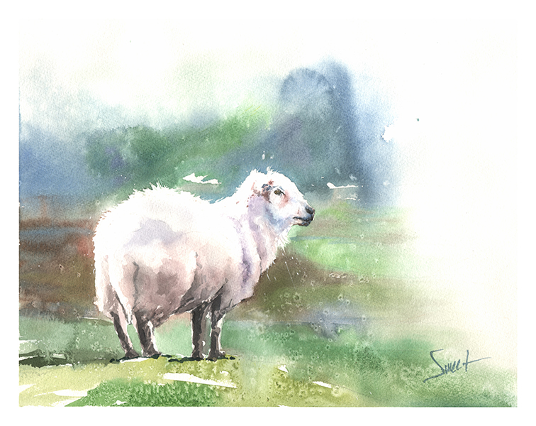 756x600 Sheep Watercolor Print Watercolor Animal Paintings