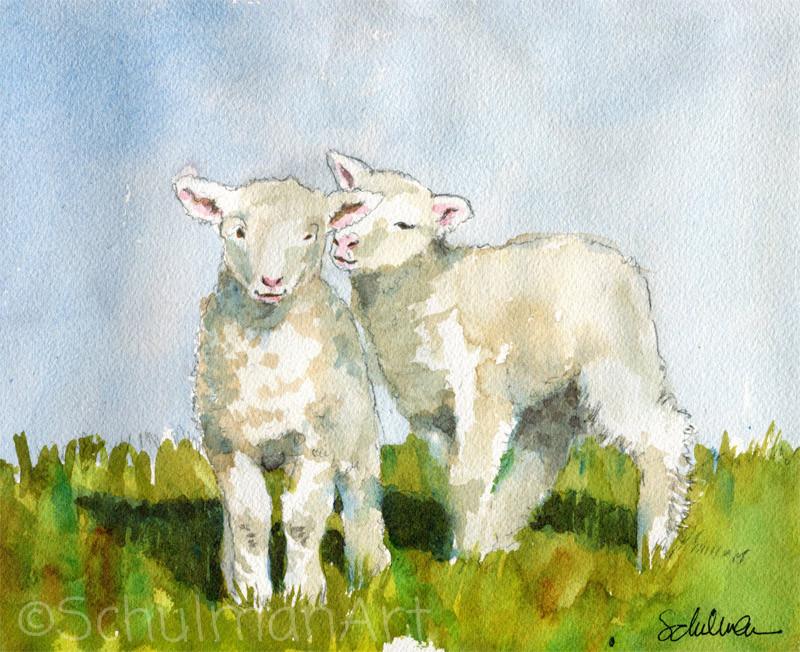 800x652 Sheep Art Farm Animals Watercolor Original Art Farm Art