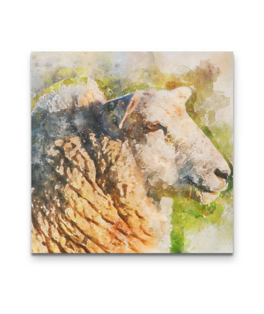 861x1023 Watercolor Sheep Canvas Barnyard Bliss