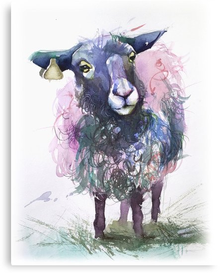 443x550 Watercolor Sheep Canvas Prints By Tallula Redbubble