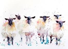 264x191 Image Result For Watercolor Sheep Art In 2018