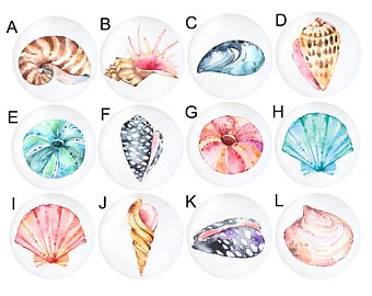 340x270 Shell Watercolor Etsy