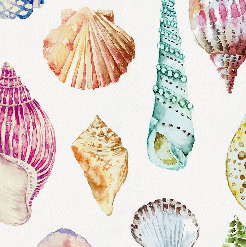 957x963 Watercolor Seashells Mini Crib Sheet Carousel Designs