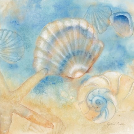 432x432 Watercolor Shells Ii Fine Art Print By Cynthia Coulter
