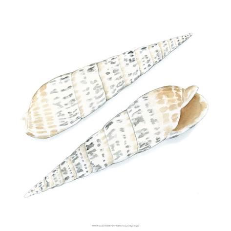 473x473 Watercolor Shells Ix Giclee Print By Megan Meagher