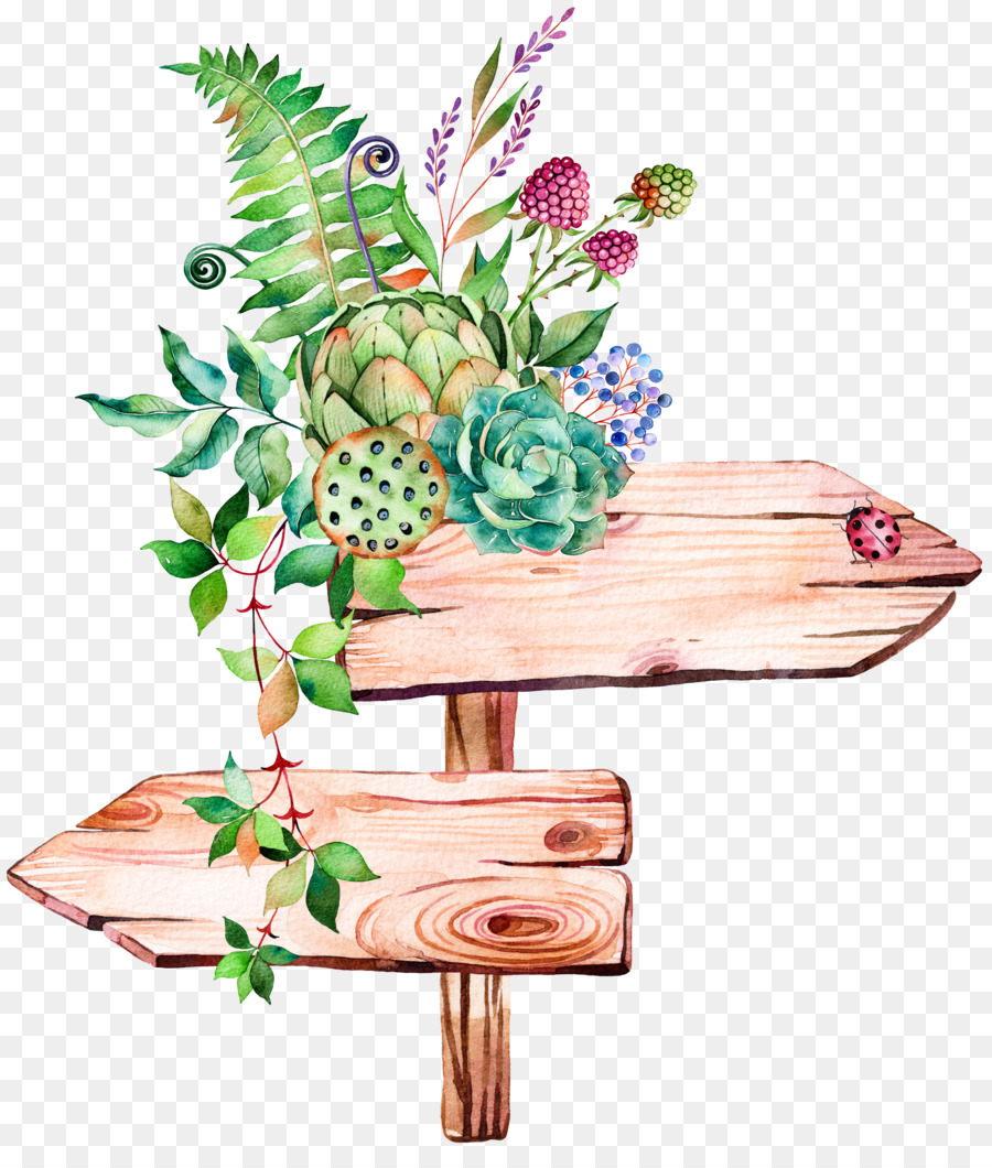 900x1060 Succulent Plant Watercolor Painting Illustration