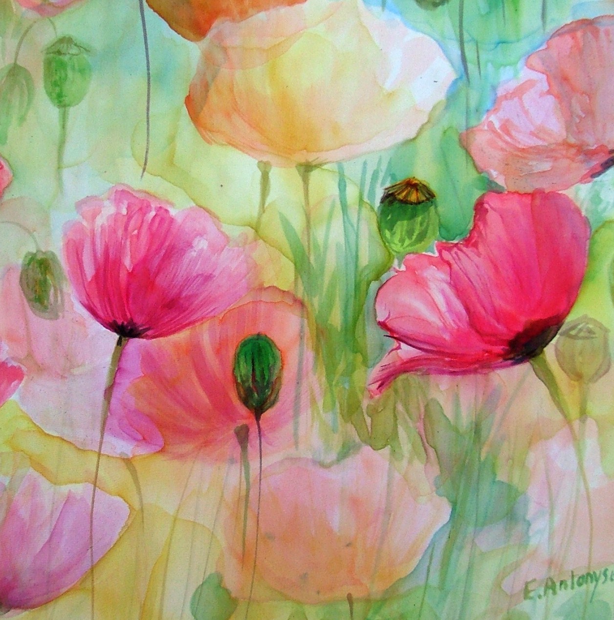 1256x1268 Watercolour On Silk Evantart