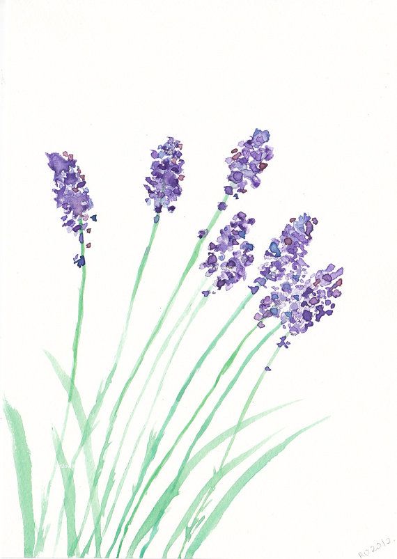 570x803 Watercolour Lavender For Invites. This Shape Or Maybe Wisteria