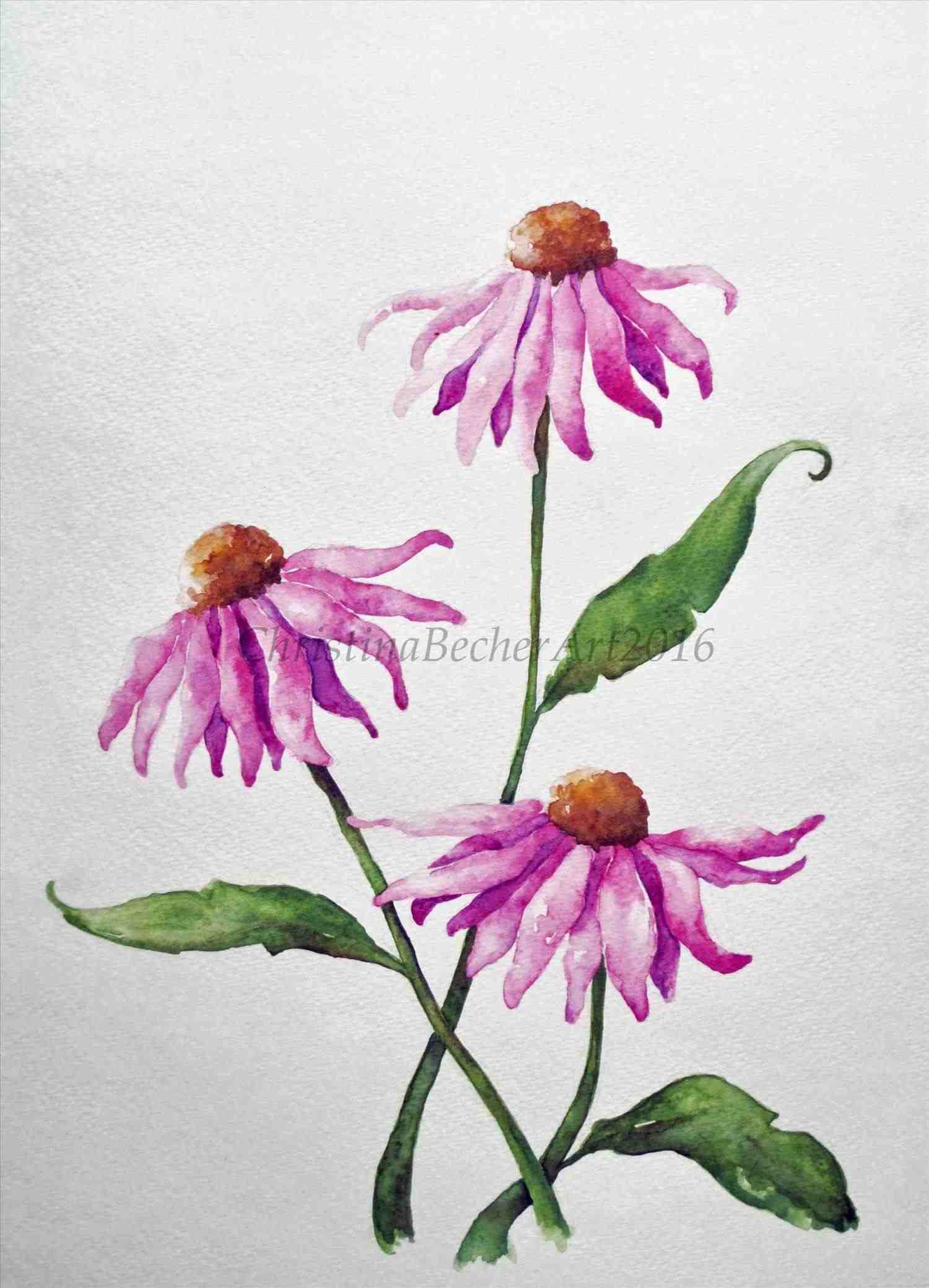 1500x2079 Lvl1 Watercolor Tutorial Painting Easy Simple Flowers