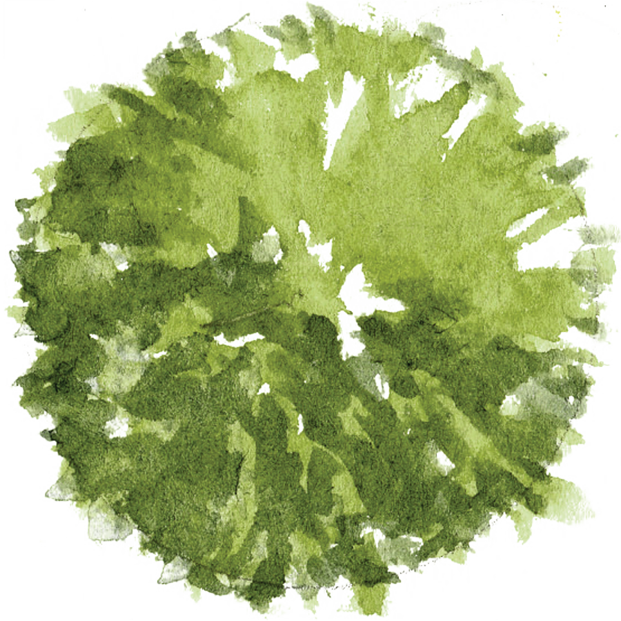 900x900 Things I Wish I Knew During Architecture School Site Plan