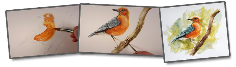 800x228 Watercolor Sketch