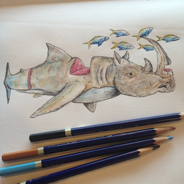 640x640 Rhino Shark! Watercolor Pencil Sketch From Oil Painting I