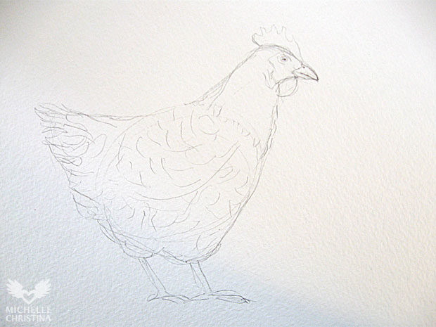 620x465 The Hen Watercolor Sketch Amp Process Shots Michelle Christina