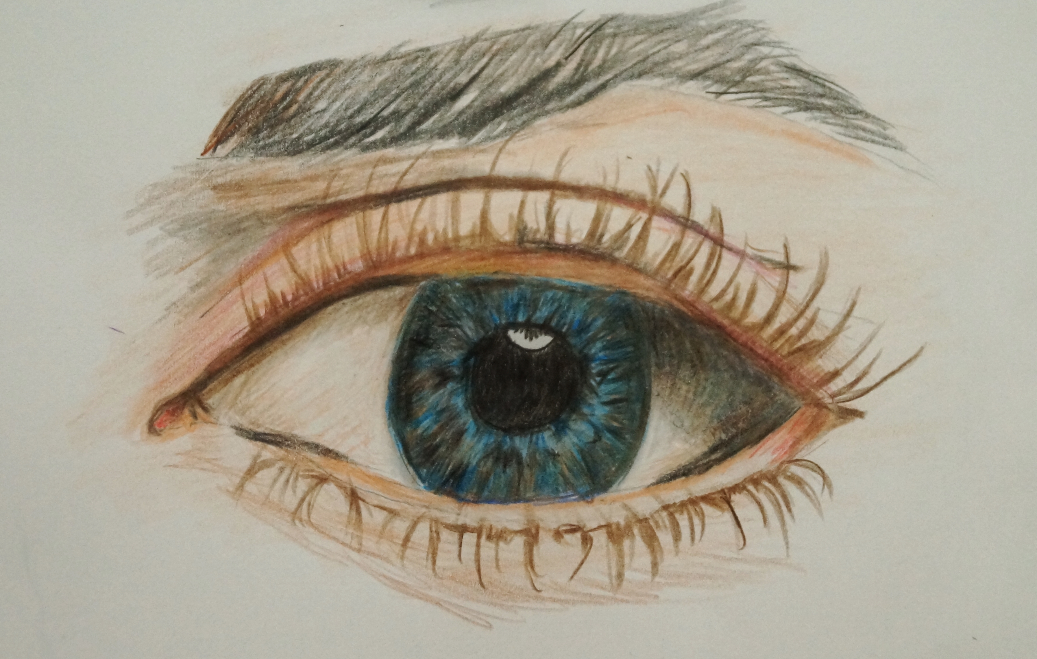 3587x2279 Watercolor Pencil Drawing