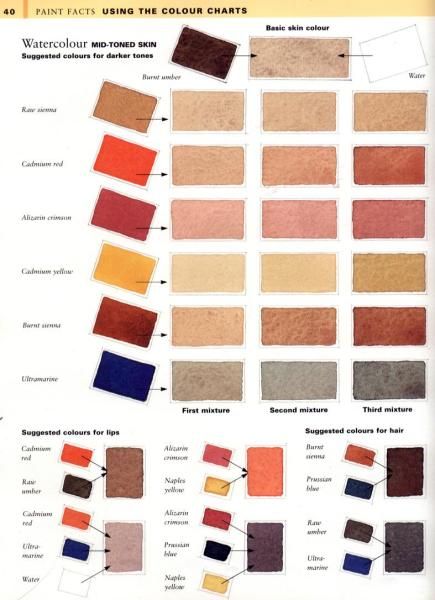 435x600 Skin Tone Colour Charts..