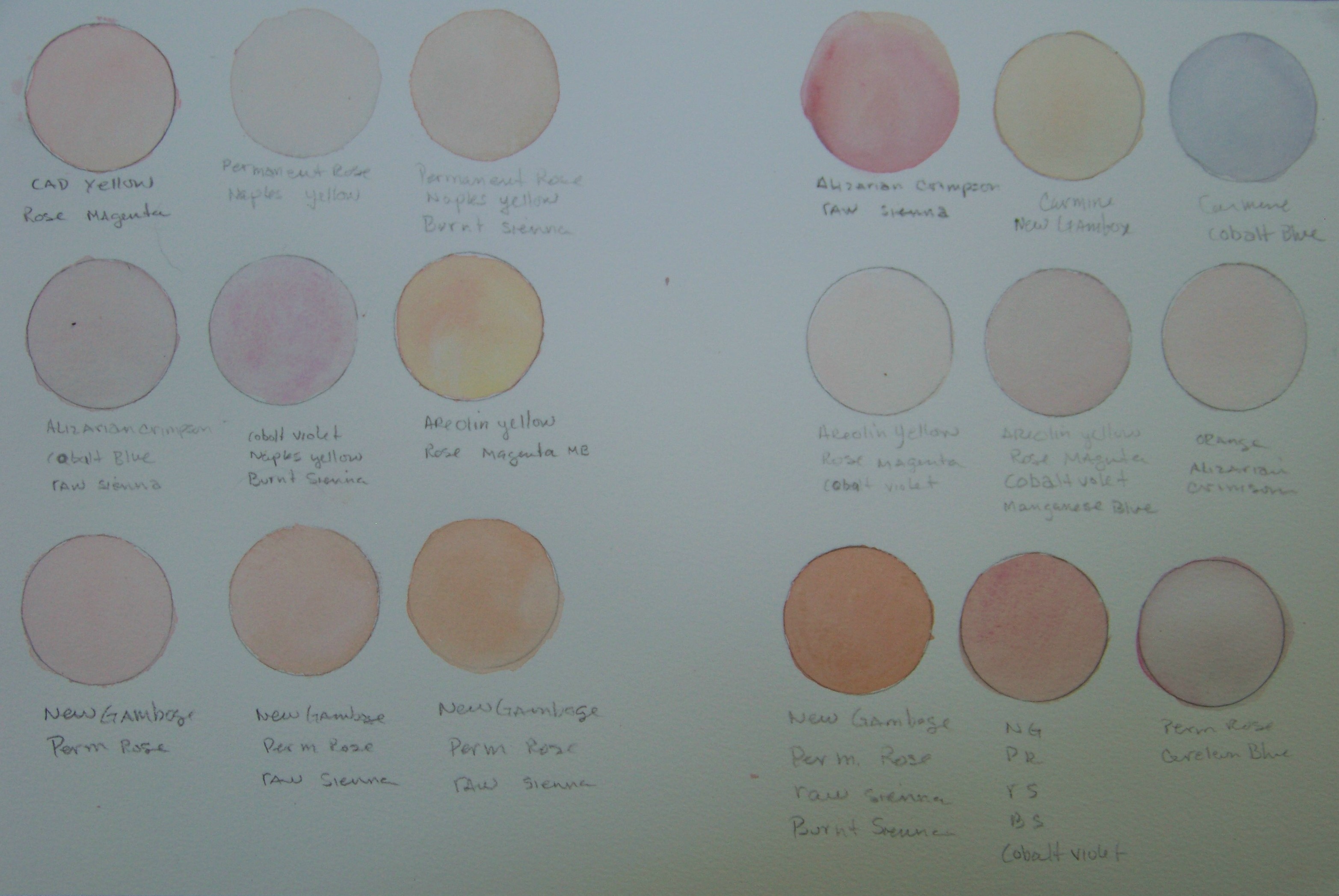 3130x2095 Skin Tone Chart For Watercolor A Painting A Week