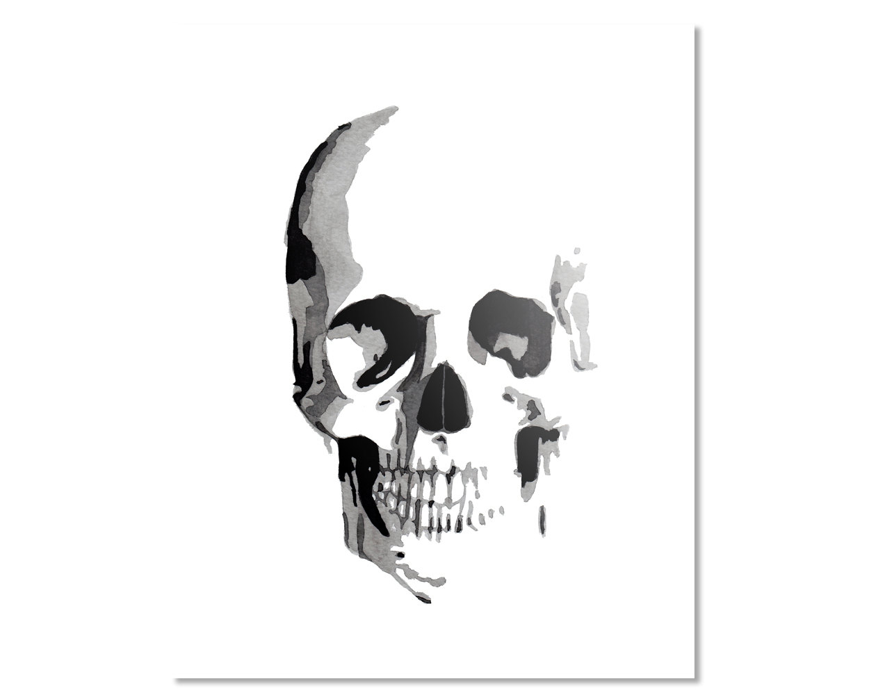1250x1000 Skull Watercolor Giclee Fine Art Print Poster Of Original Etsy