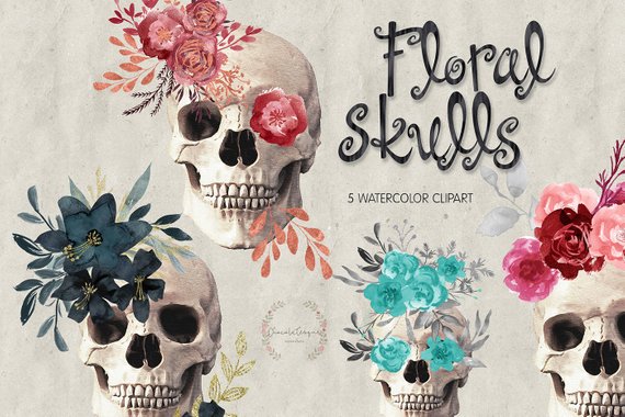 570x380 Skulls Clipart Floral Skulls Watercolor Skull Greeting Etsy
