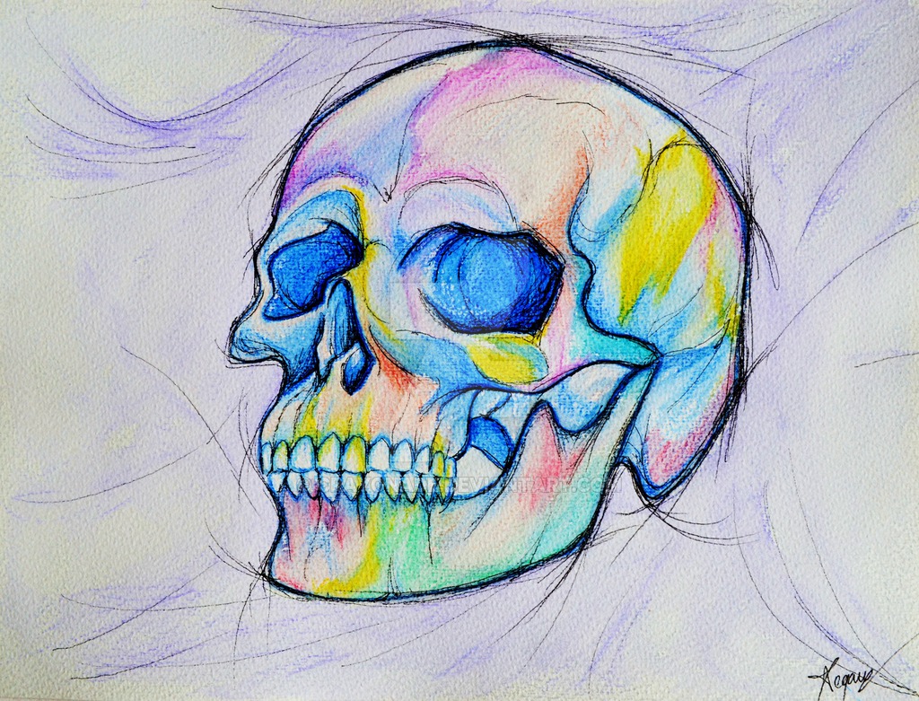 1024x781 Watercolor Skull By Crayonade