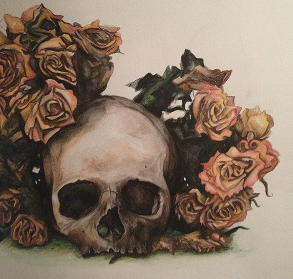 600x572 Watercolor Skull On Behance