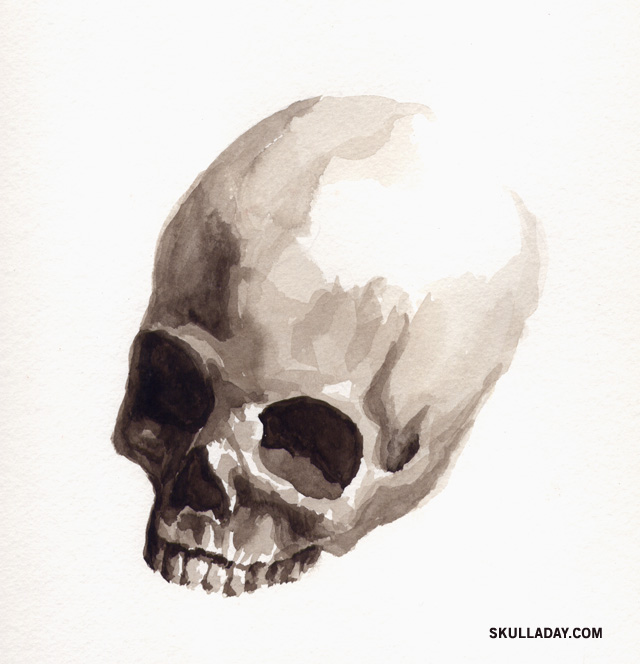 640x664 Flashback Friday] 35. Watercolor Skull