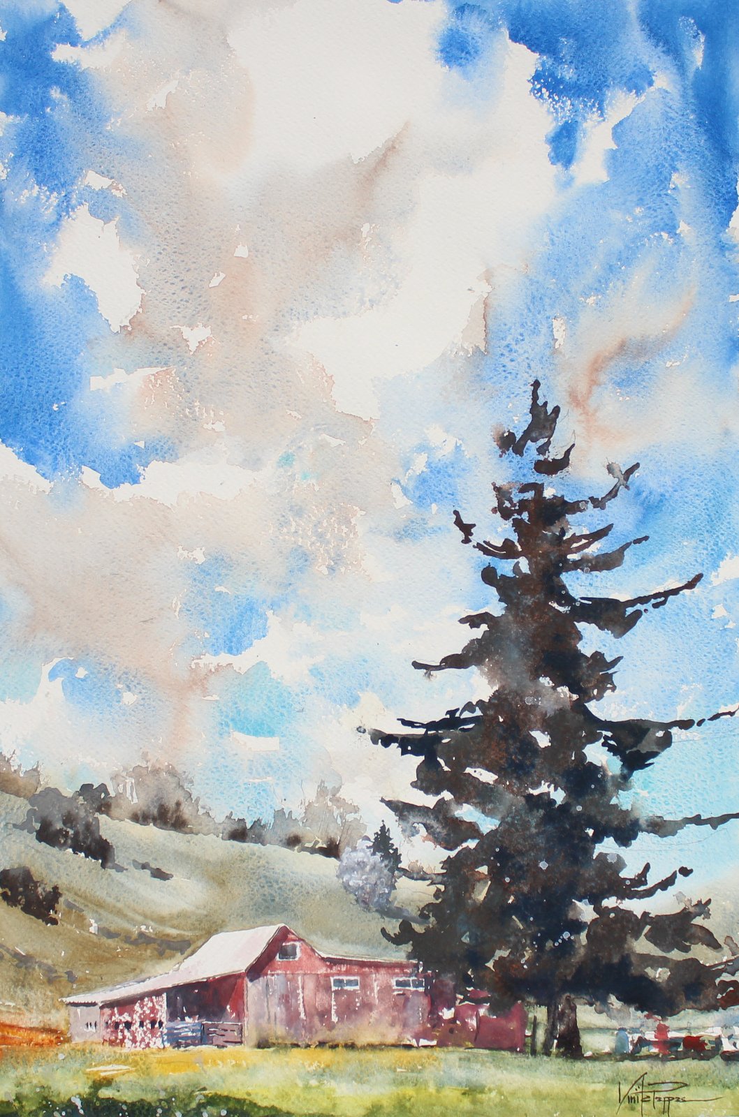 1058x1600 Sunlit South Myrtle Barn Under Cloudy Skies