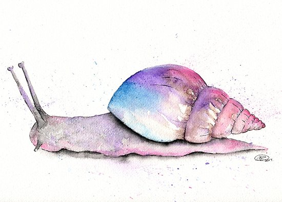 550x394 Giant African Land Snail Watercolour Posters By Trichardsonart